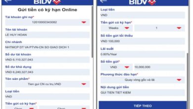 Lãi suất gửi tiết kiệm online BIDV